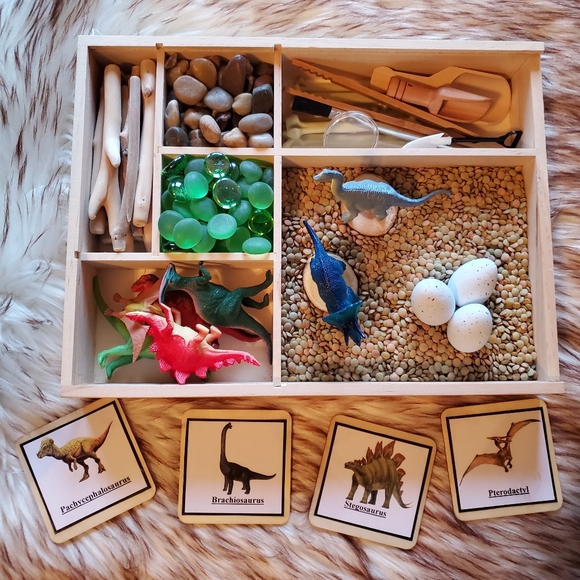 Handmade Item Other - Dinosaur Montessori Tinker Tray Reggio Waldorf